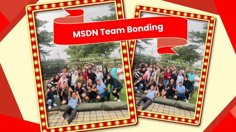 MSDN Team bonding